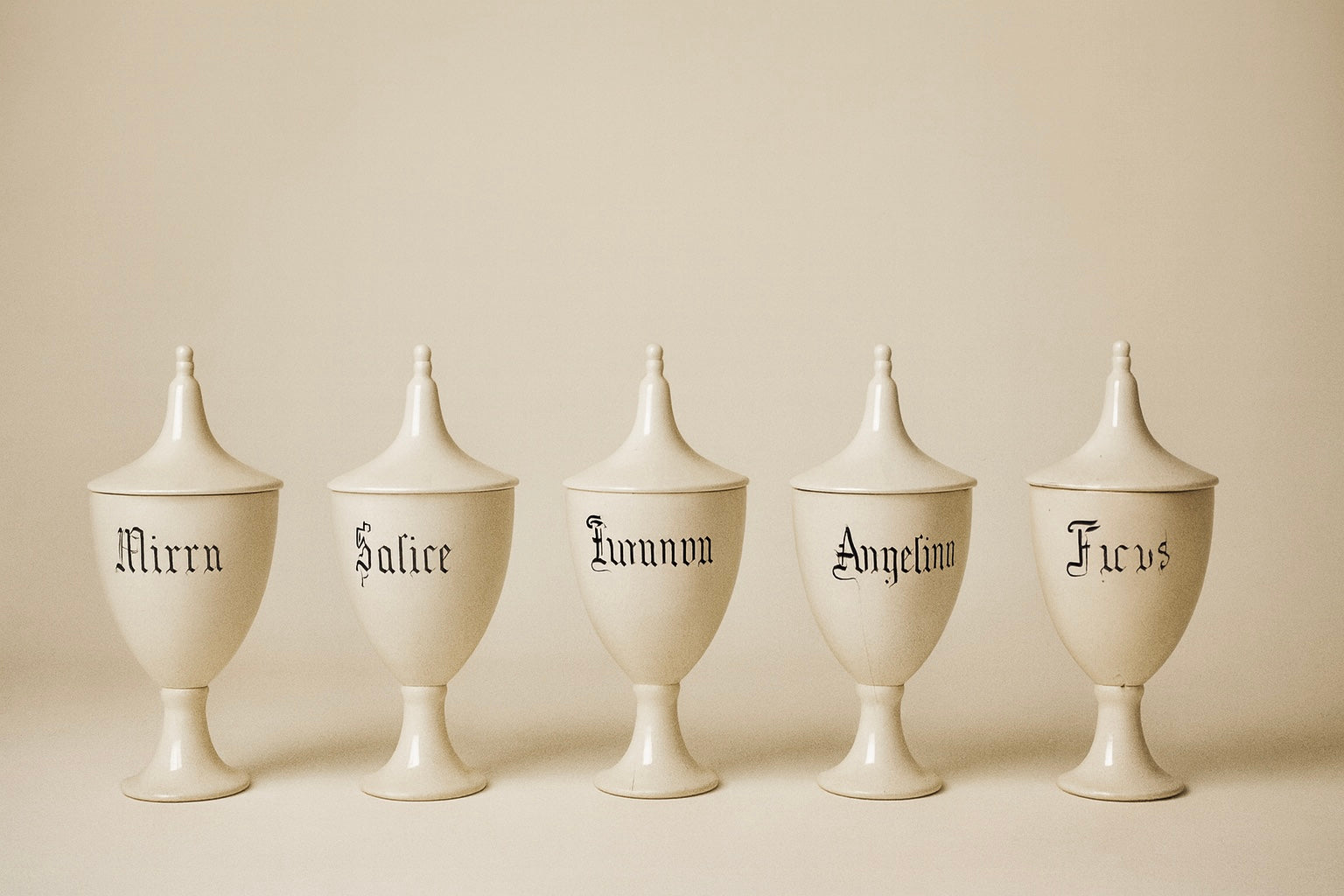 Herbalist Pharmacy Ceramic Jars