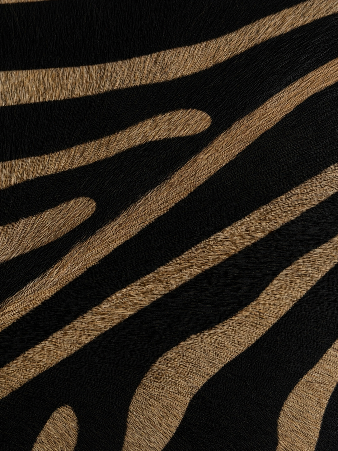Zebra Ottoman
